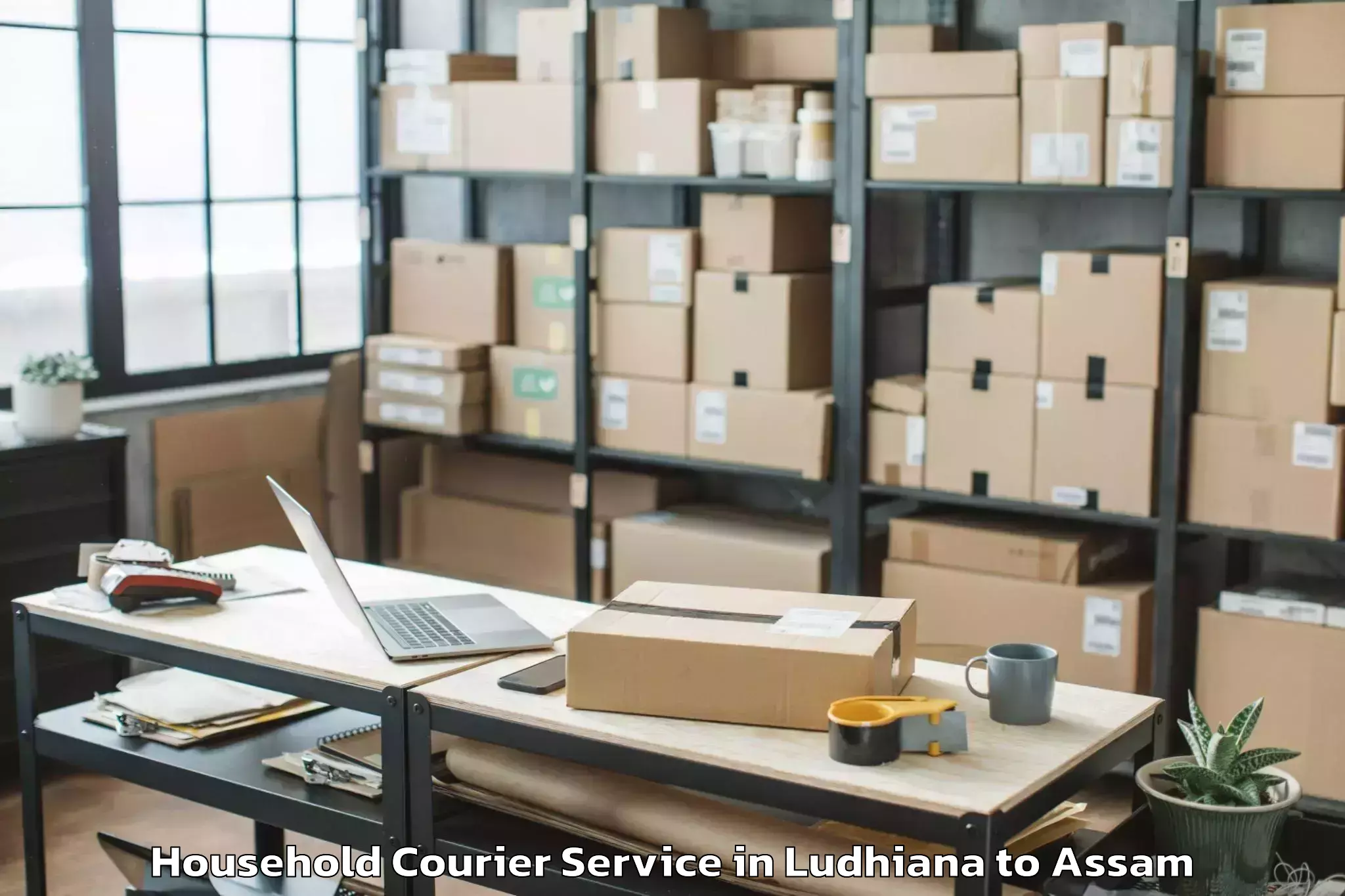 Quality Ludhiana to Abhilashi University Sivasagar Household Courier